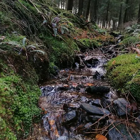 Le Haut' Mont * Manhay