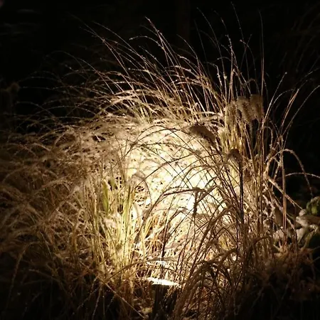 Le Haut' Mont Manhay