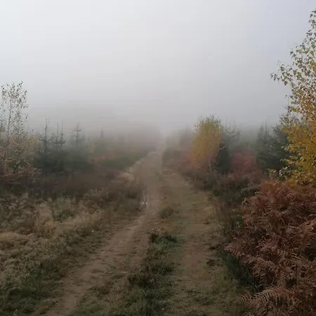 Le Haut' Mont Ferienhaus Manhay
