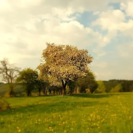Le Haut' Mont Ferienhaus Manhay