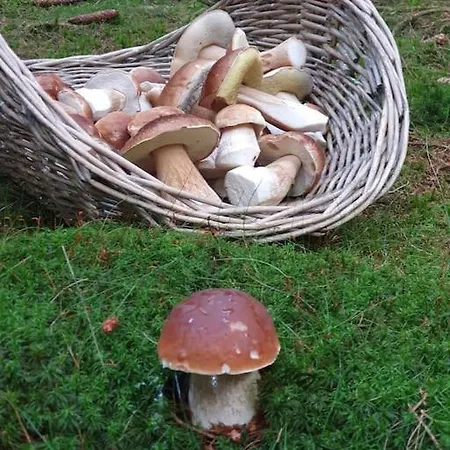 Le Haut' Mont Ferienhaus *