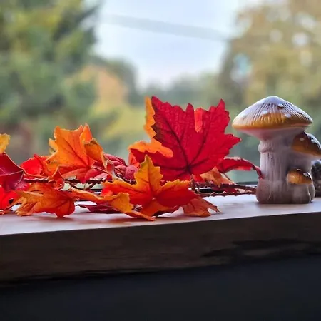 Le Haut' Mont Vakantiehuis Manhay